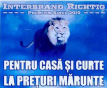 uz casnic